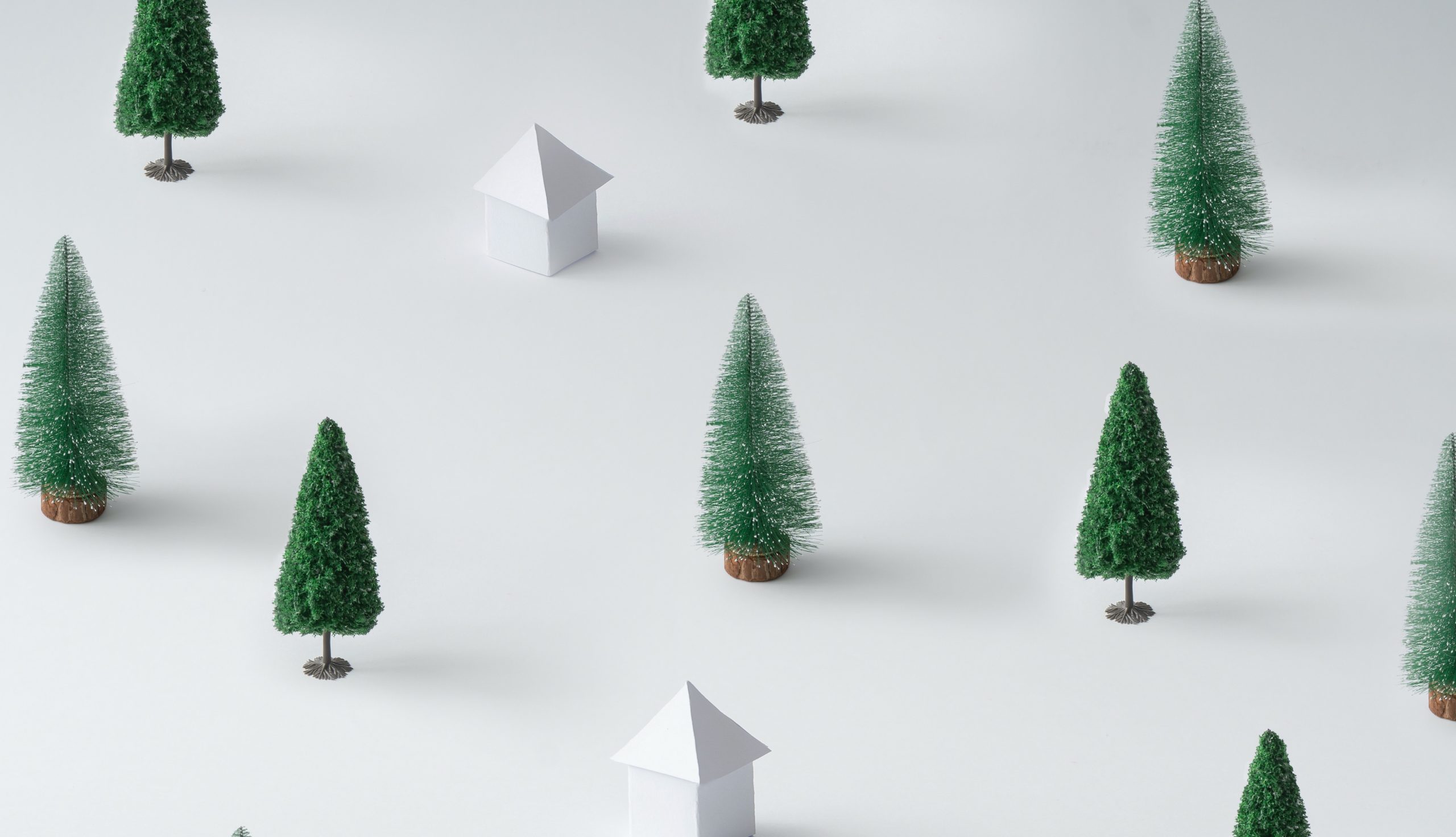 image for story: Christmas