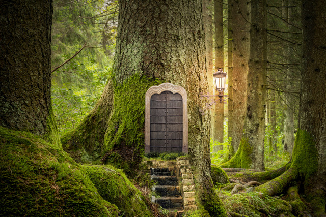 image for story: Going Small